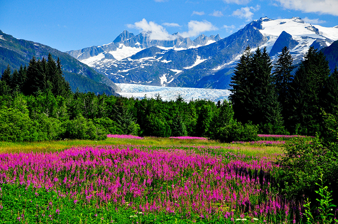 paysage Alaska